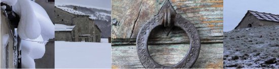 legno di abete