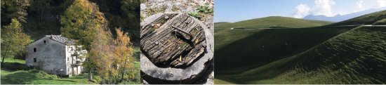 mobili naturali